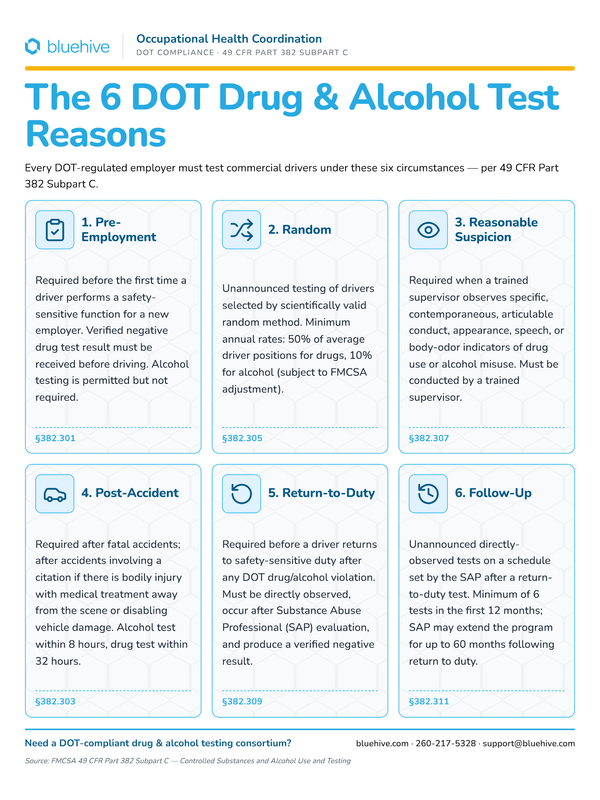 Preview of DOT 6 Drug & Alcohol Test Reasons Poster
